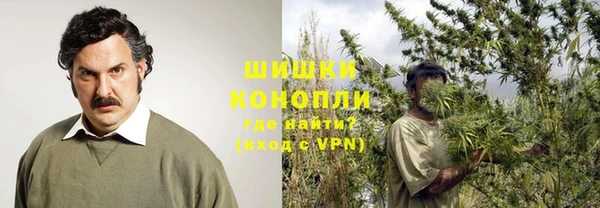 mix Богородицк