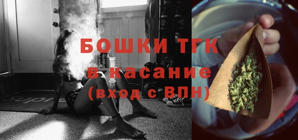 mix Богородицк