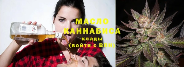 mix Богородицк
